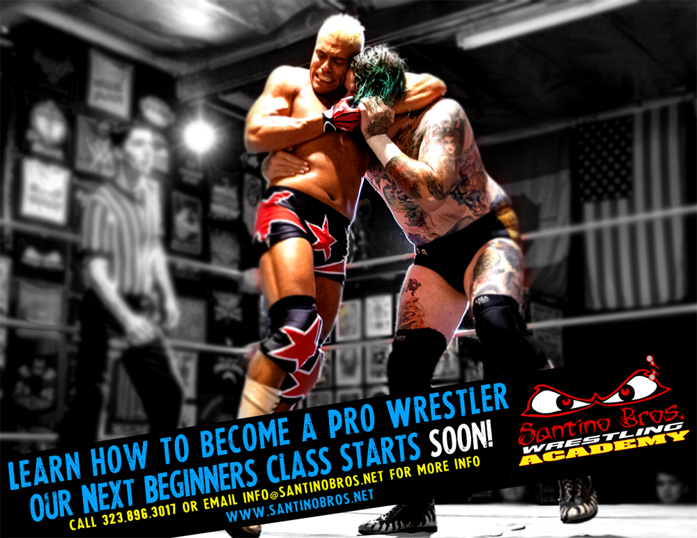 Beginners Pro Wrestling School